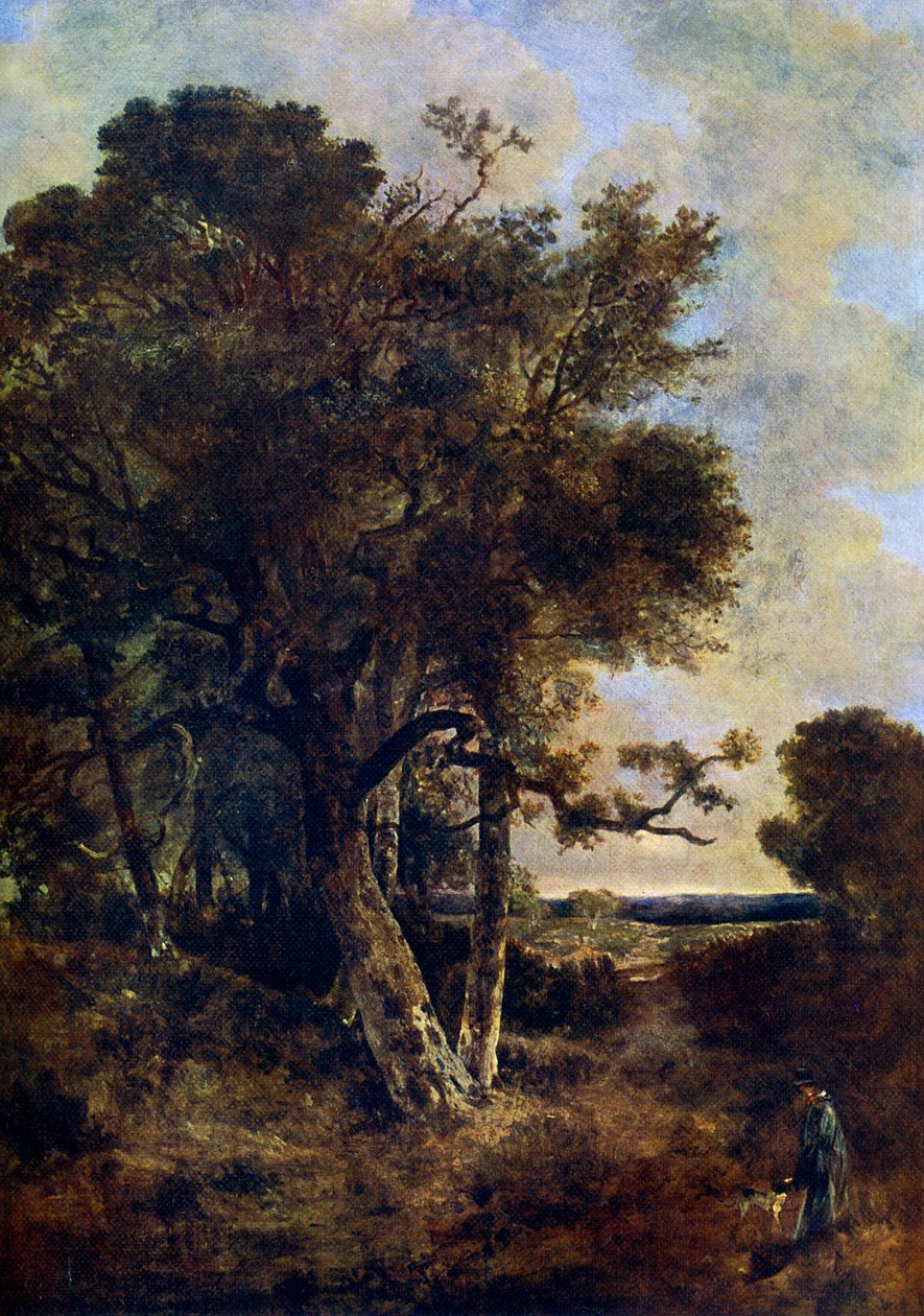 På skogens skjørt, c1788-1821, 1912. av John Crome