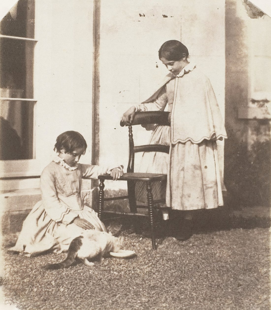 Mater stakkars puss, 1853-56. av John Dillwyn Llewelyn