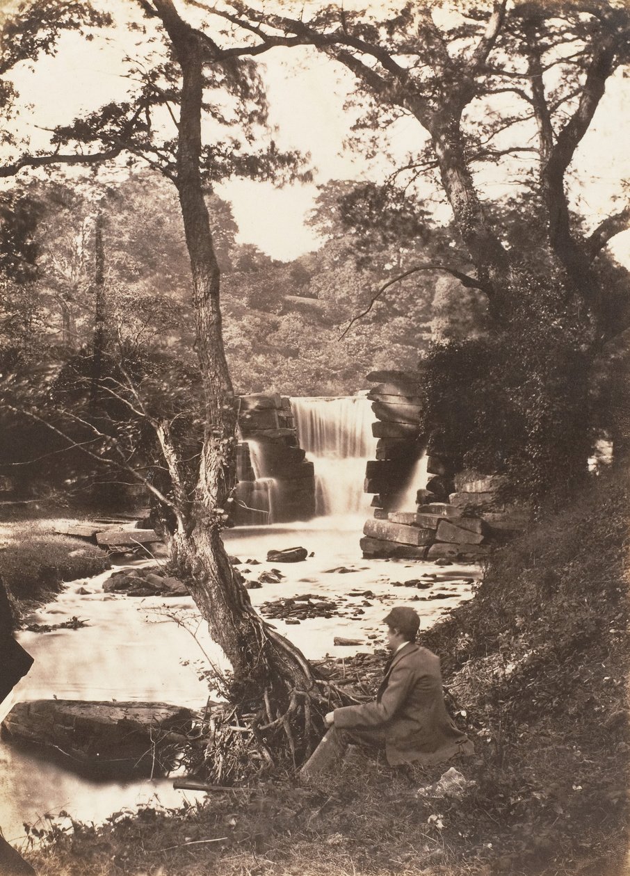 Det øvre fallet, 1853-56. av John Dillwyn Llewelyn