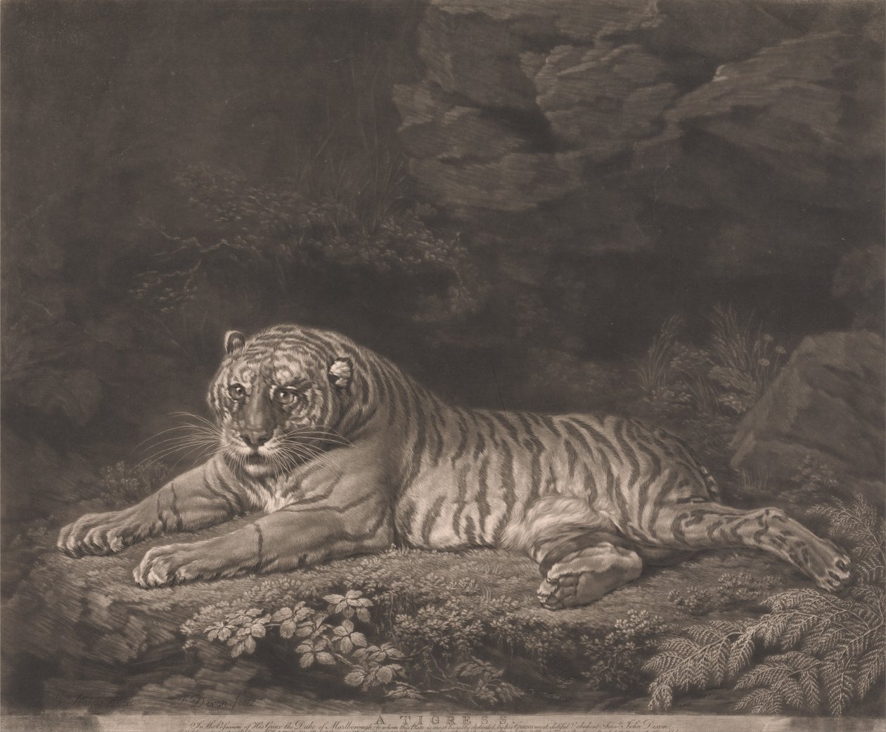  av John Dixon