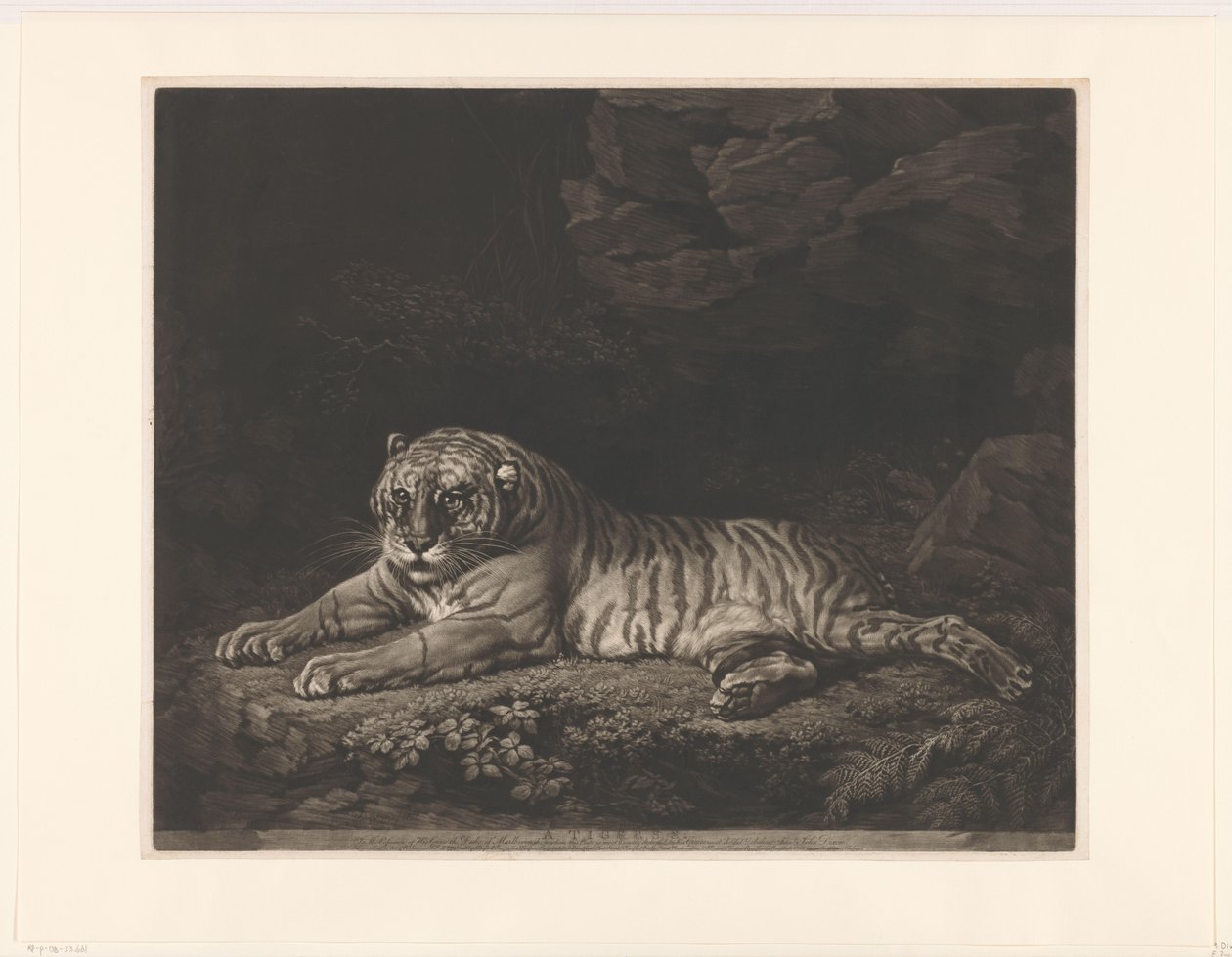 Tijgerin A Tigress (title on object)   1360502   no       norwegian Successfully Translated  Original: Gezicht op werf in haven van galei schepen te Malta Vue du chantier dans le port des Galères à Malte (title on object) Voyage en Italie, en Sicile et à M av John Dixon