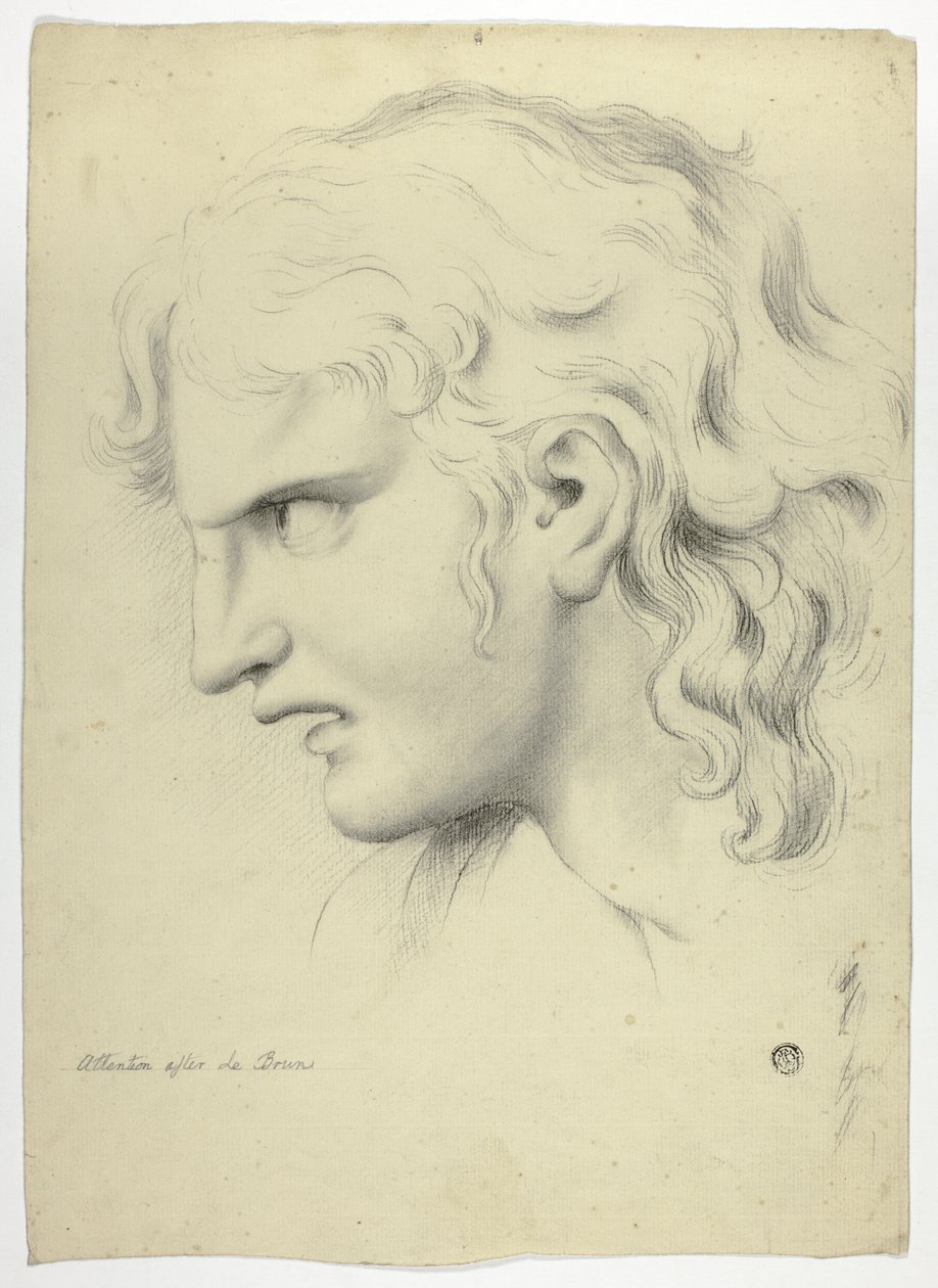  av John Downman