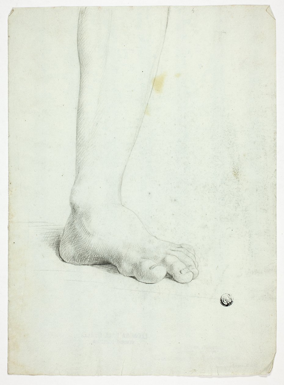  av John Downman