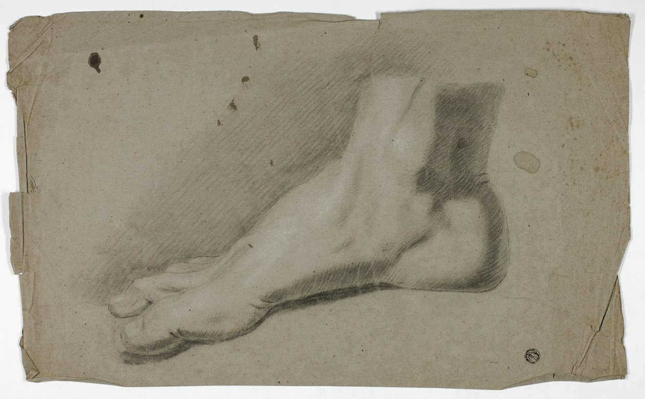  av John Downman