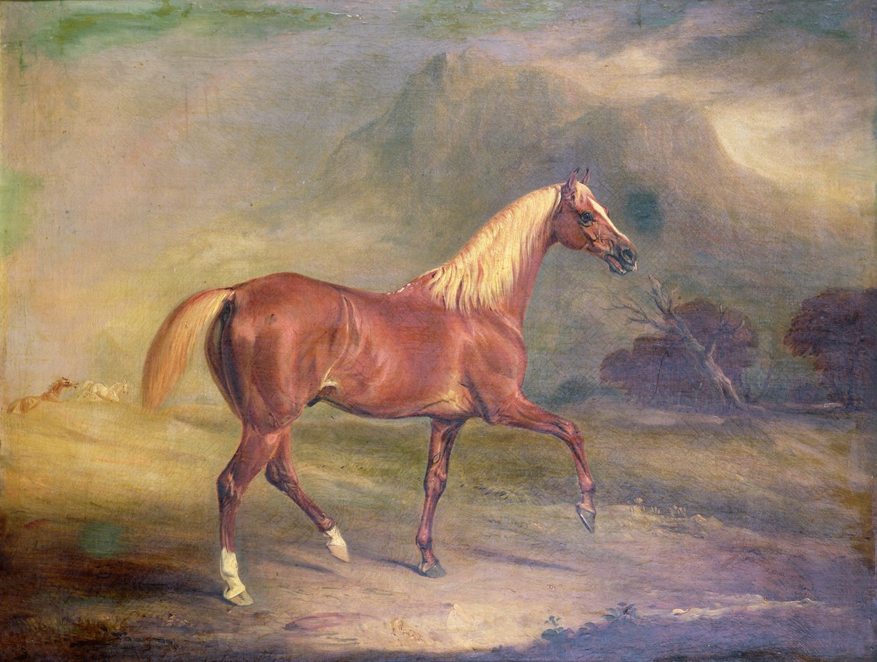 Kastanje araberhingst av John E. Ferneley