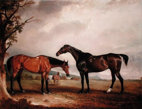 Longford Lass og jøden av John E. Ferneley