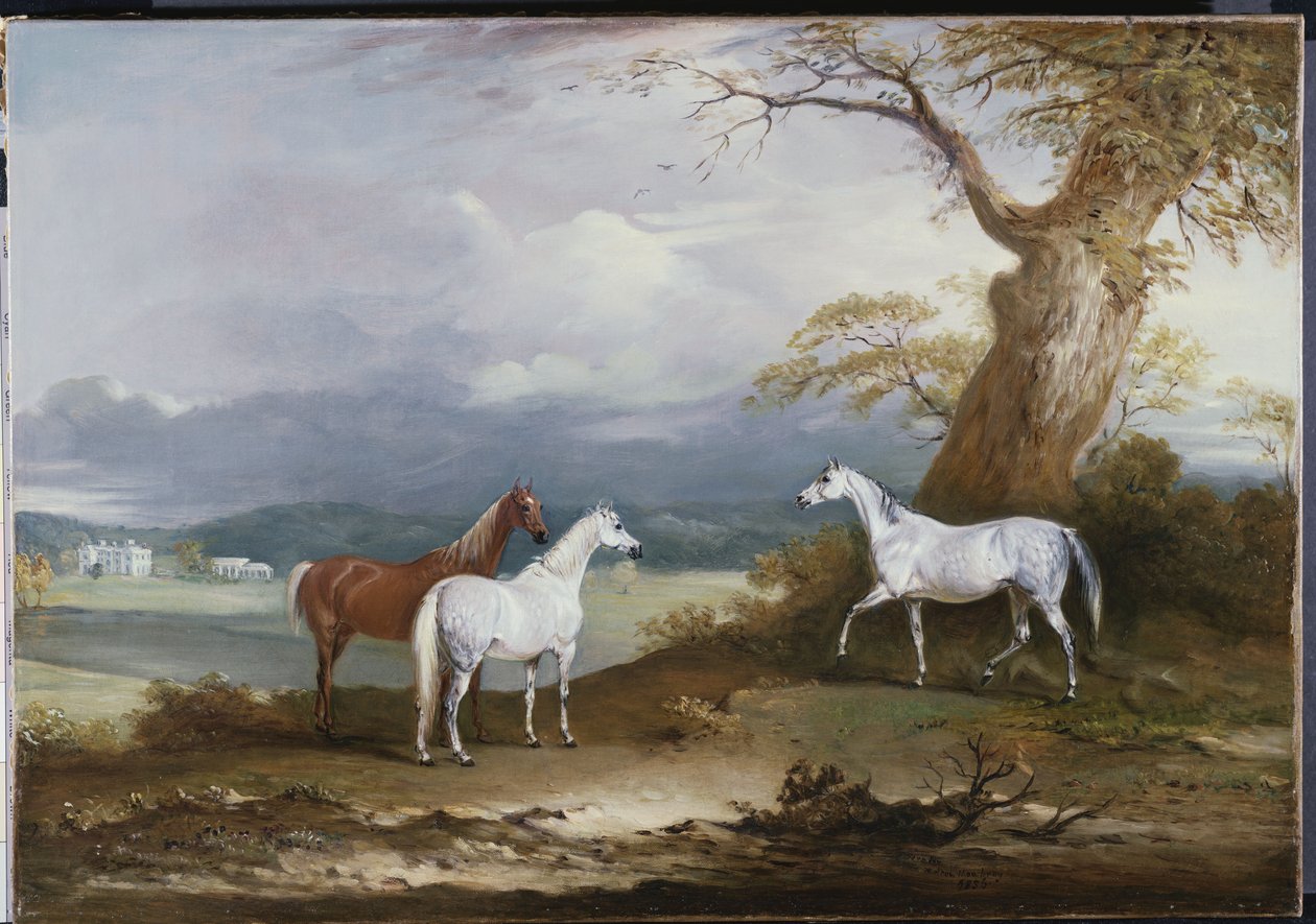 Lord Macdonalds Mares on the Grounds of Thorpe Hall, Rudston, Yorkshire, 1836 av John E. Ferneley