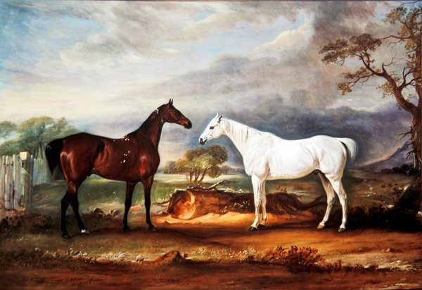 Mr N. Kershaws Two Hunters 