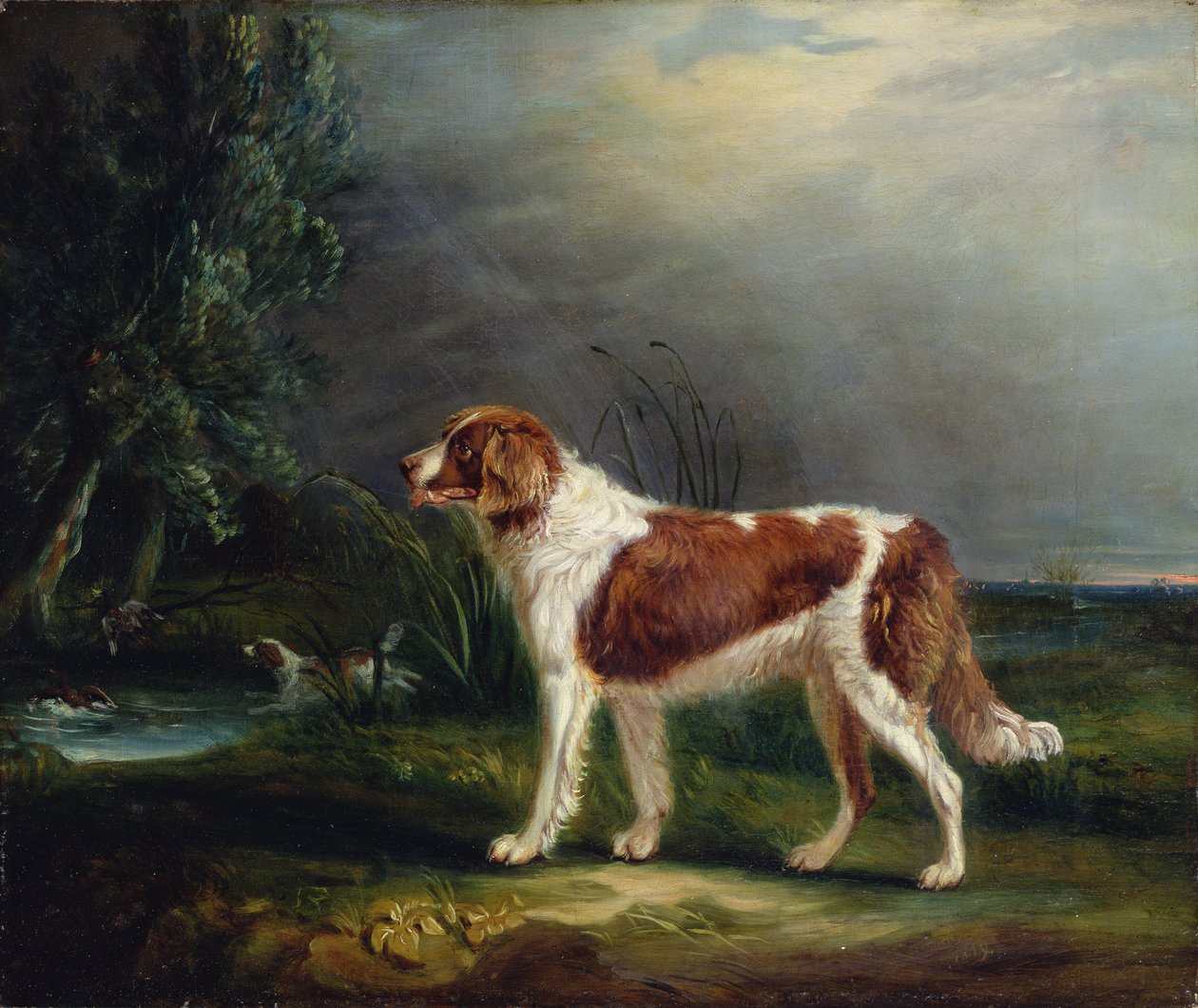 To spaniels ved en bekk, en setter opp stokkand av John E. Ferneley