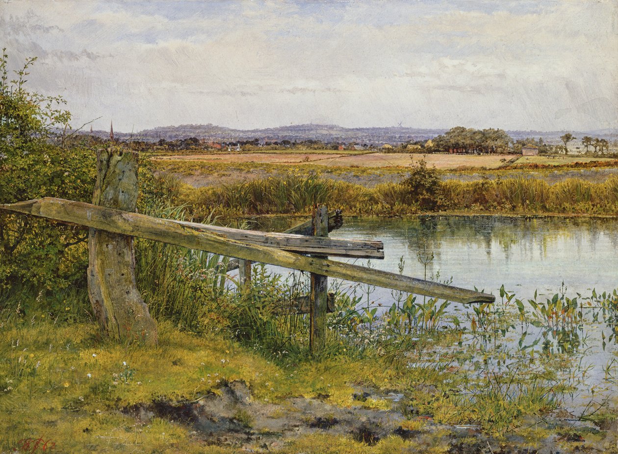 Veikanten, 1862 av John Edward Newton