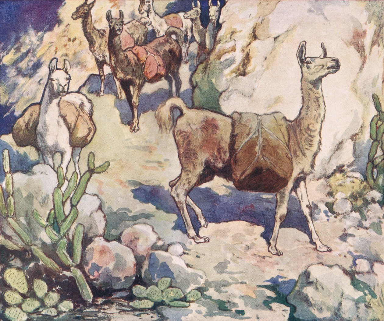 Alpakkaer på en fjellsti, illustrasjon fra 'Helpers Without Hands' av Gladys Davidson, utgitt i 1919 (farge litho) av John Edwin Noble