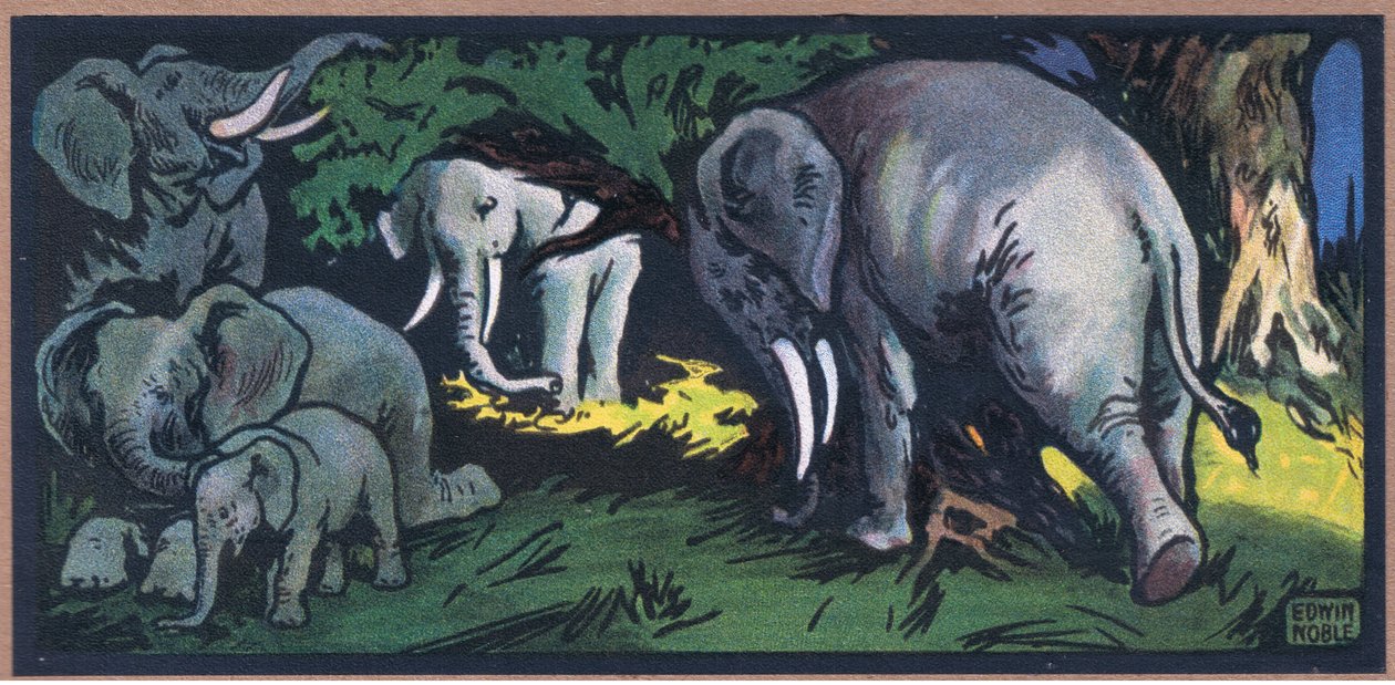 Elefant i villmarken av John Edwin Noble