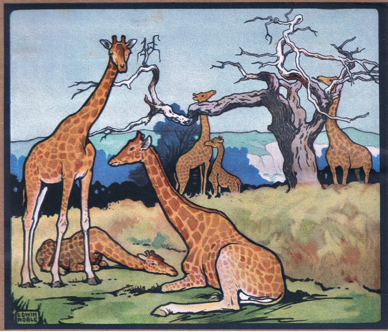 Sjiraff av John Edwin Noble