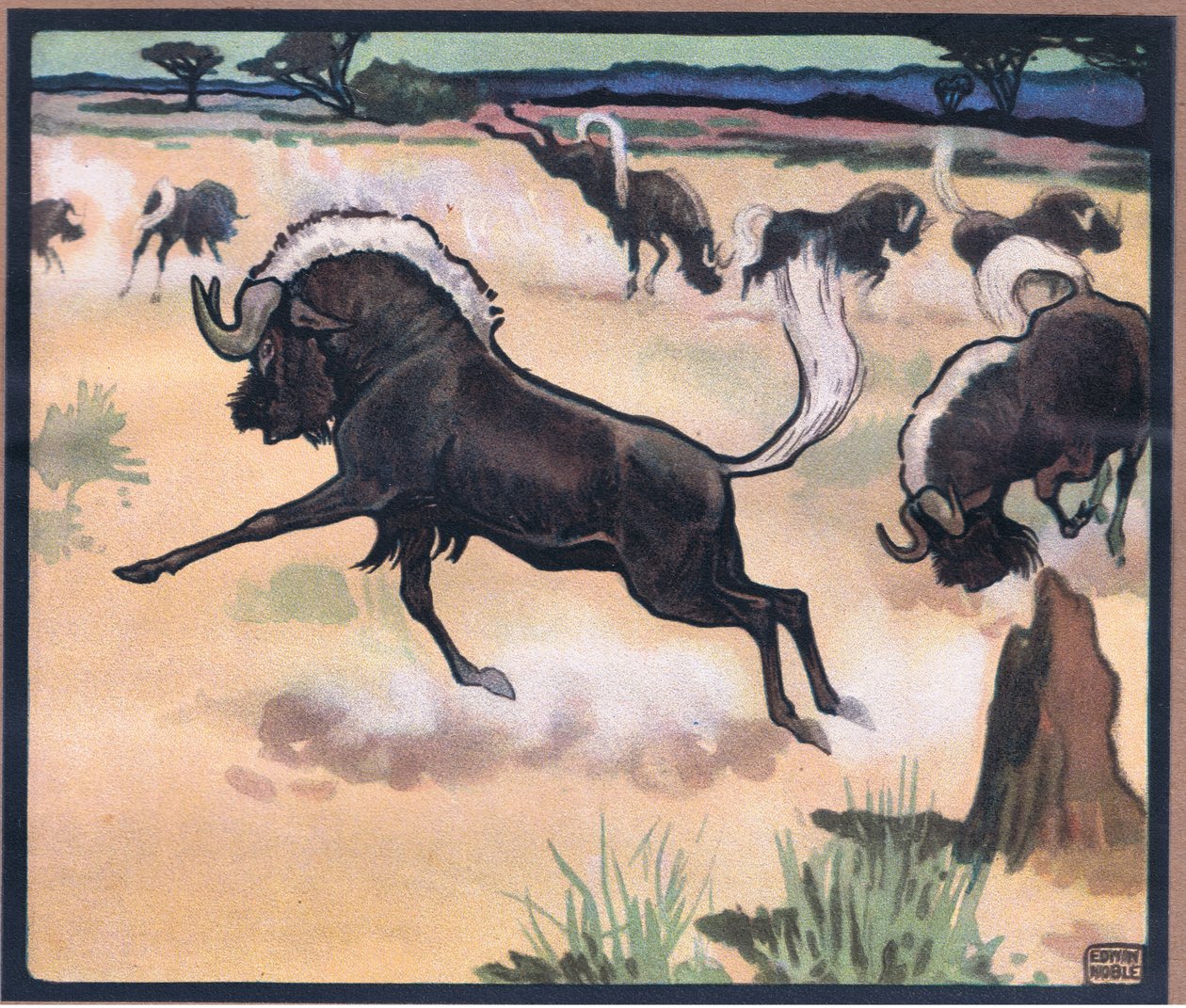 Gnu av John Edwin Noble