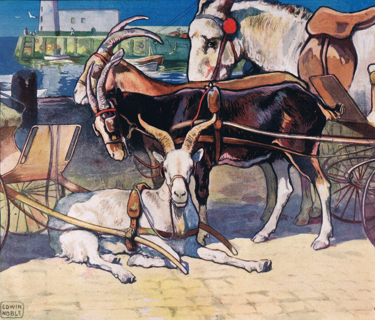 Geiter hviler, illustrasjon fra 