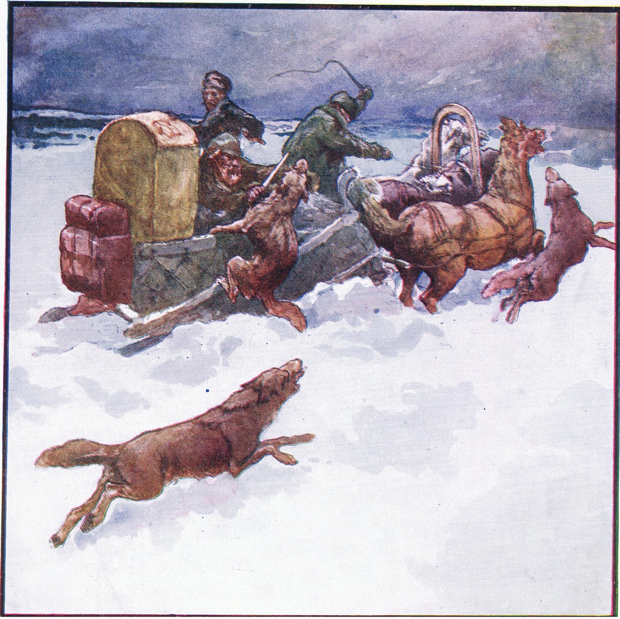 Min følgesvenn stakk kjølig en av armene inn i munnen til en ulv (farge litho) av John Edwin Noble
