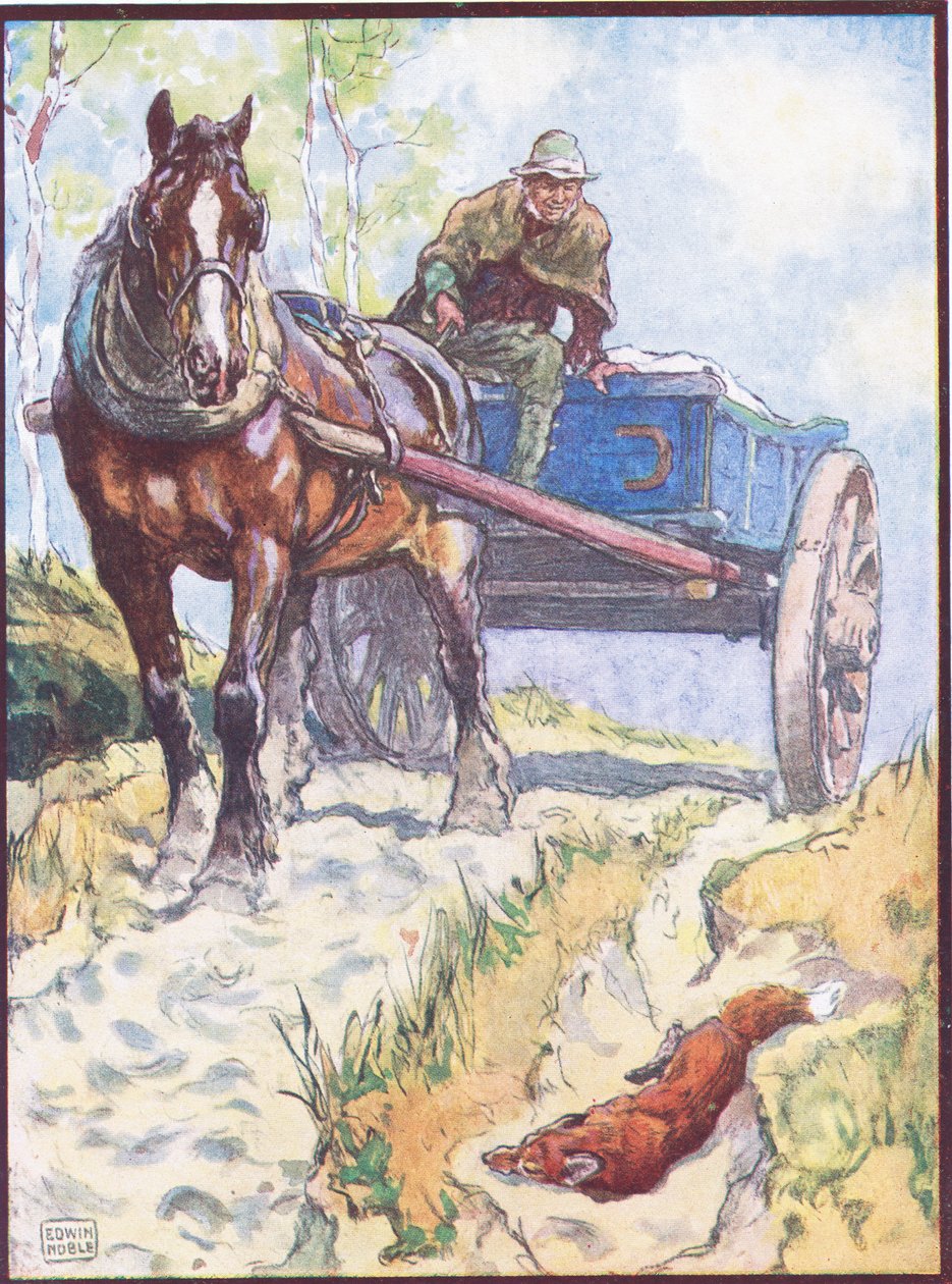 'The Carter Observed a Fox Liging in a Rut', illustrasjon for 'Reynard the Fox', fra 'Animal Legends from Many Lands', utgitt av Raphael Tuck & Sons Ltd. (farge litho) av John Edwin Noble
