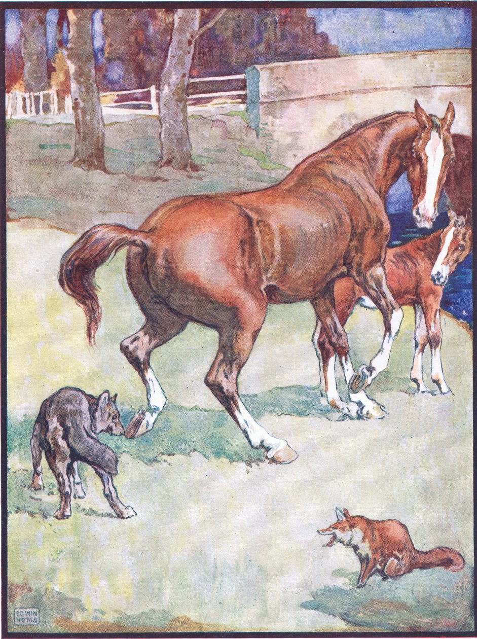 The Mare Lifted Her Hoof, illustrasjon for Reynard the Fox, fra Animal Legends from Many Lands, utgitt av Raphael Tuck & Sons Ltd. av John Edwin Noble