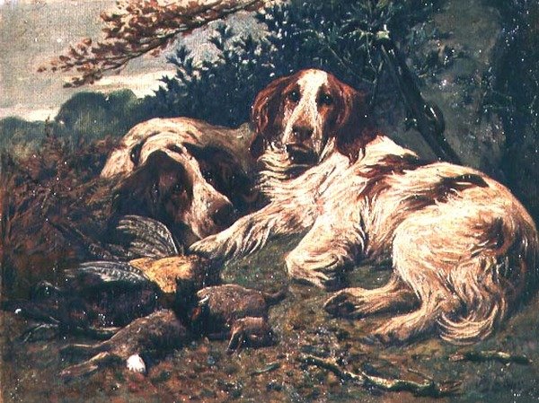 Et par lever- og hvite Clumber Spaniels ved Dagens Bag av John Emms