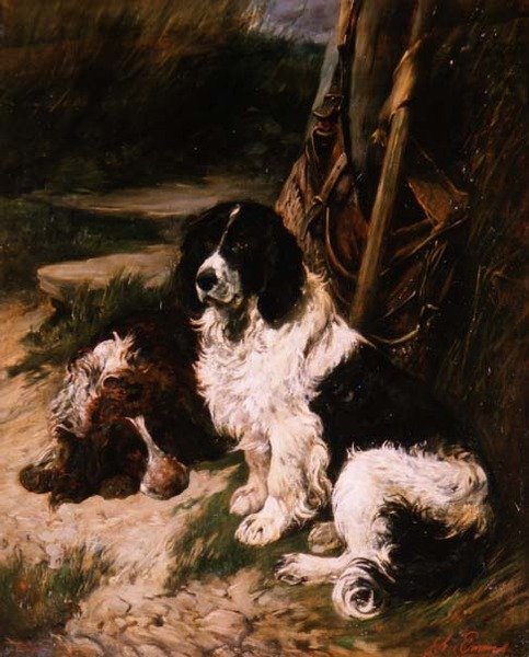 Brun og hvit og svart og hvit spaniel av John Emms