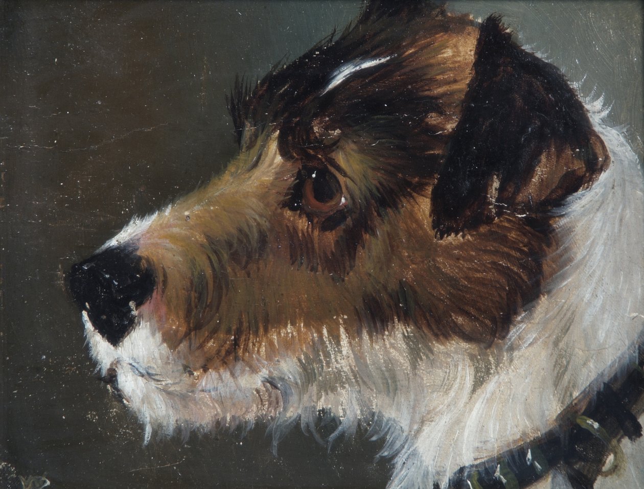 Hodet til en grovhåret terrier av John Emms