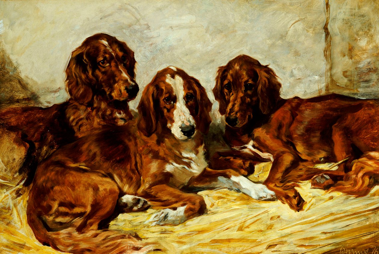 Shot and his Friends - Three Irish Red and White Setters, 1876 av John Emms