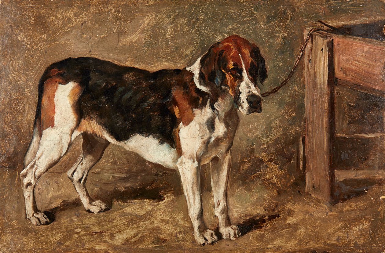 Studie av en hund (olje om bord) av John Emms