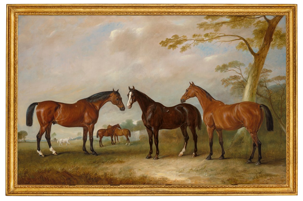  av John Ferneley