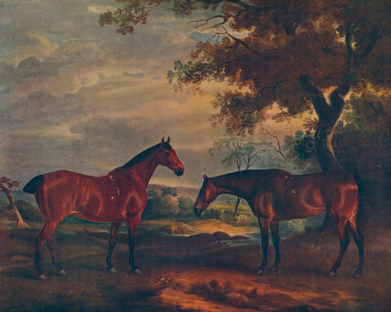 Yorkshire Hunters at Grass, c1840, 1922 av John Ferneley
