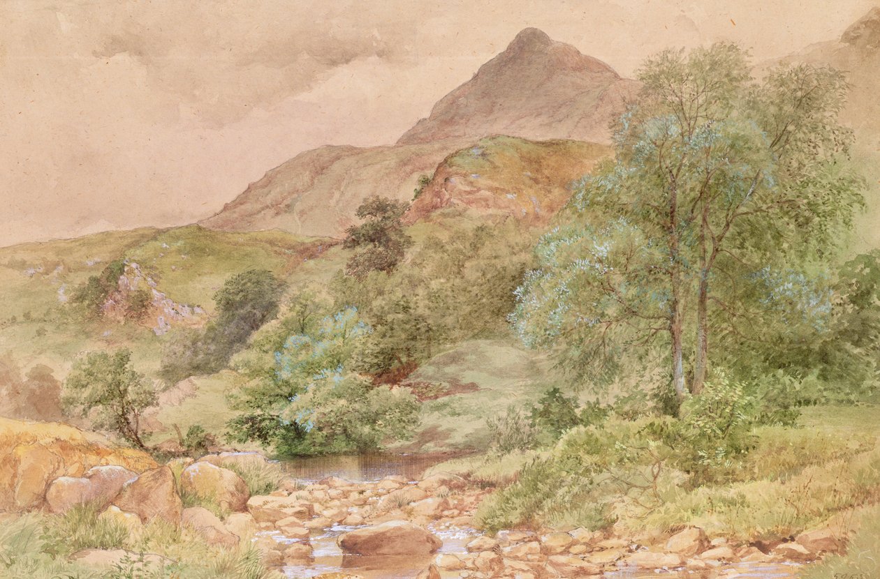 Moel Siabod, Nord-Wales av John Finnie
