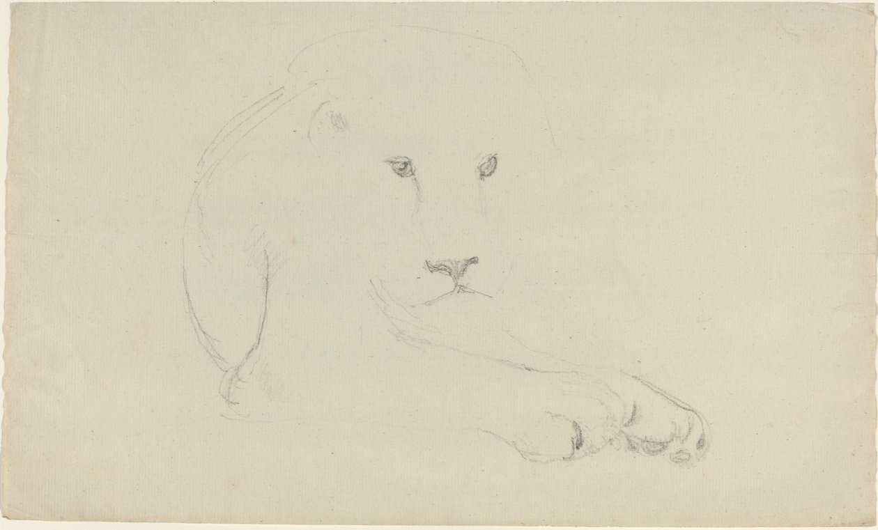 Løve av John Flaxman