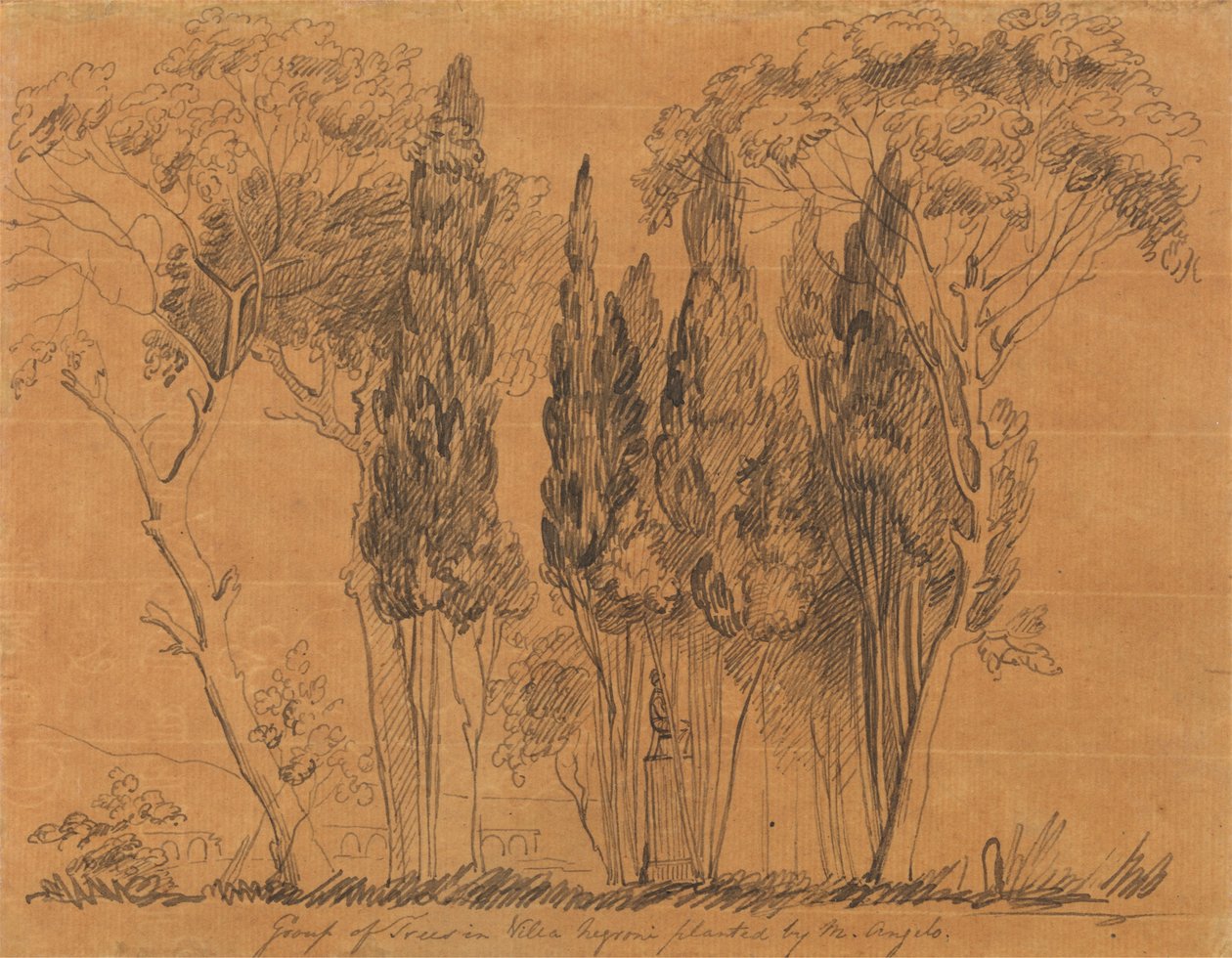Trær i Villa Negroni Plantet av M. Angelo av John Flaxman