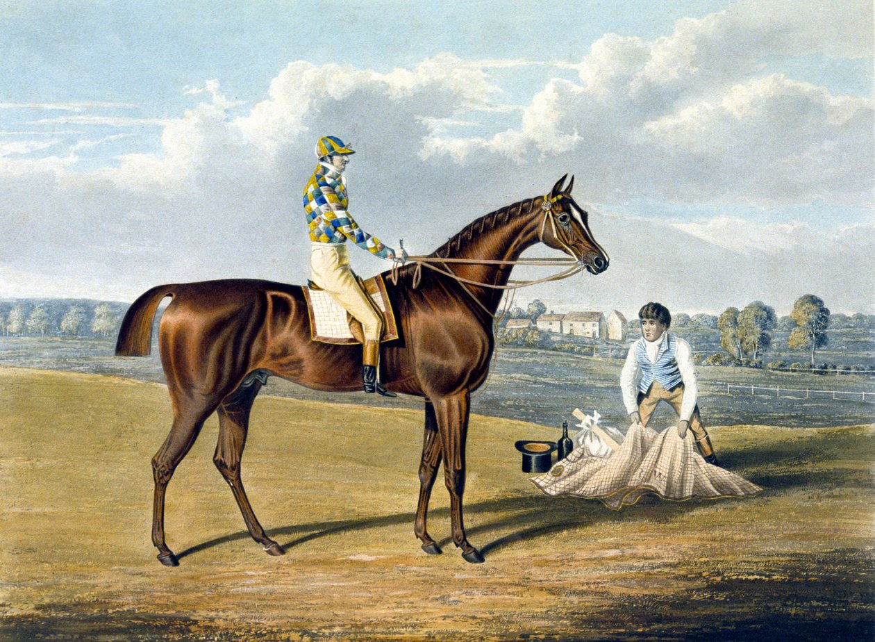 'Barfoot', vinner av St Leger, gravert av Thomas Sutherland (1785-1838) av John Frederick Herring Snr