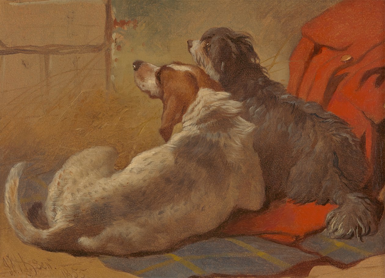 En hund og en bearded collie sitter på en jaktfrakk av John Frederick Herring