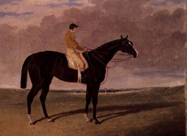 Queen of Trumps, en bukt veddeløpshest med jockey av John Frederick Herring Jnr