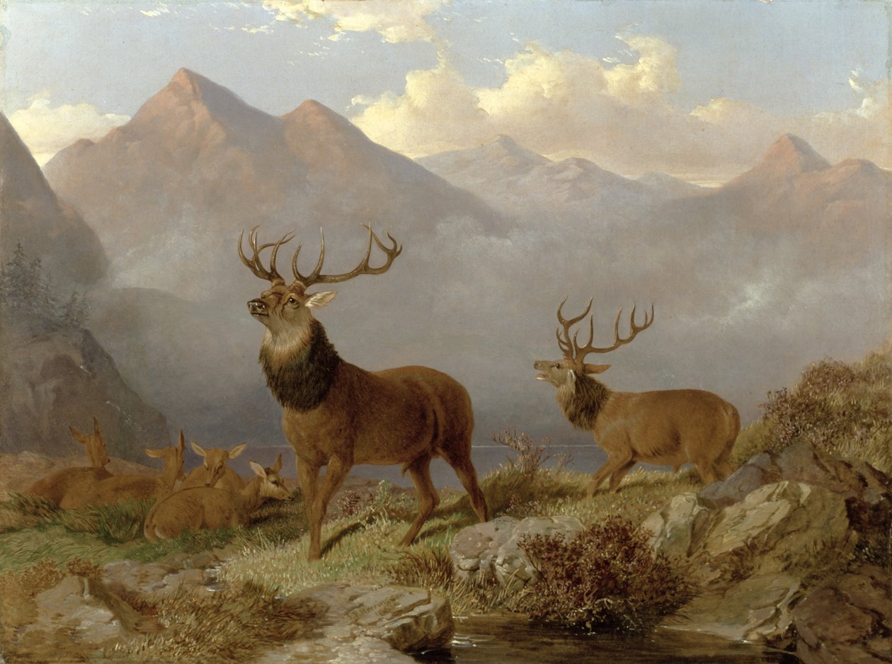 Hjorter og hinds i et høylandslandskap, 1864 av John Frederick Herring Junior