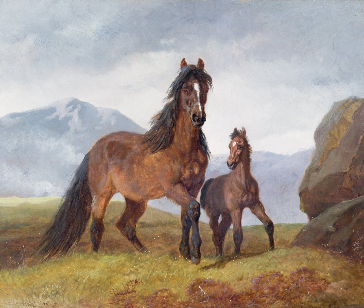 En walisisk fjellhoppe og føll, 1854 (panel) av John Frederick Herring Senior