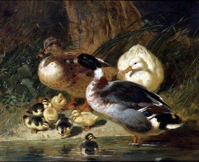 Ender og andunger av John Frederick Herring Senior