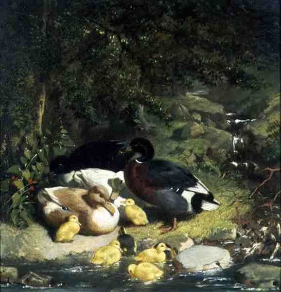 Ender og andunger av John Frederick Herring Senior