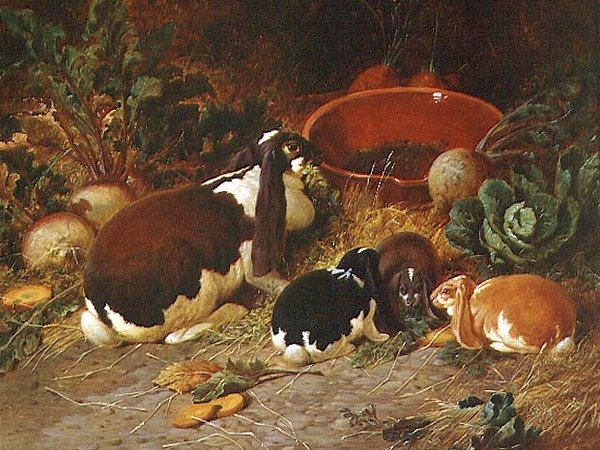 Fancy Rabbits, en Doe med sine unge av John Frederick Herring Senior
