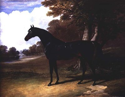 Gaucus, en mørk bukthest i et skogkledd landskap (olje på lerret) av John Frederick Herring Senior