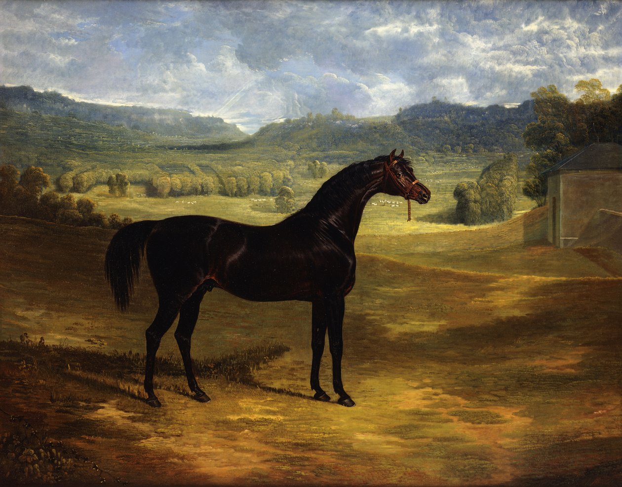 Jack Spigot, en Dark Bay Racehorse i en Paddock i Bolton Hall, 1824 av John Frederick Herring Senior