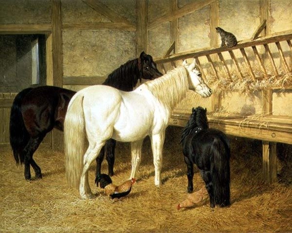 Ponnier på krybben av John Frederick Herring Senior