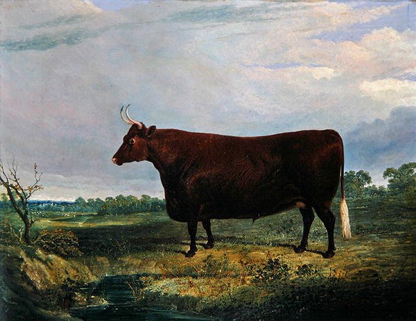 Portrett av en brun okse av John Frederick Herring Senior
