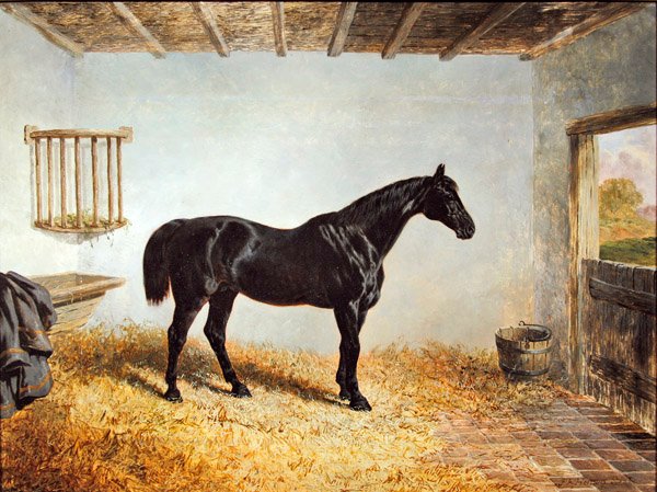 Portrett av en hingst som står i en stall (olje på panel) av John Frederick Herring Senior