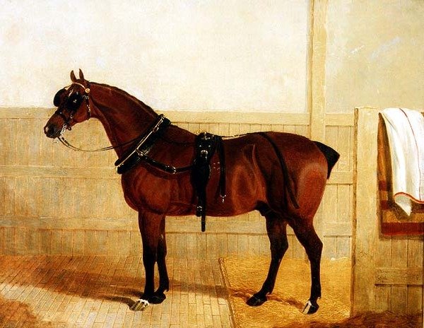 Premie Shire Hest i Sele av John Frederick Herring Senior