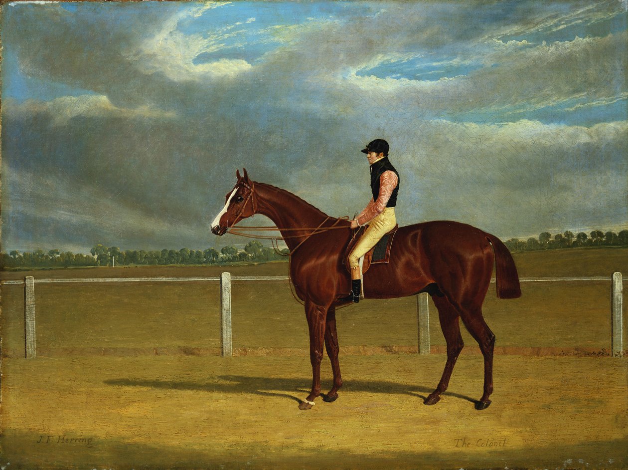 Veddeløpshesten "The Colonel" med William Scott Up av John Frederick Herring Senior
