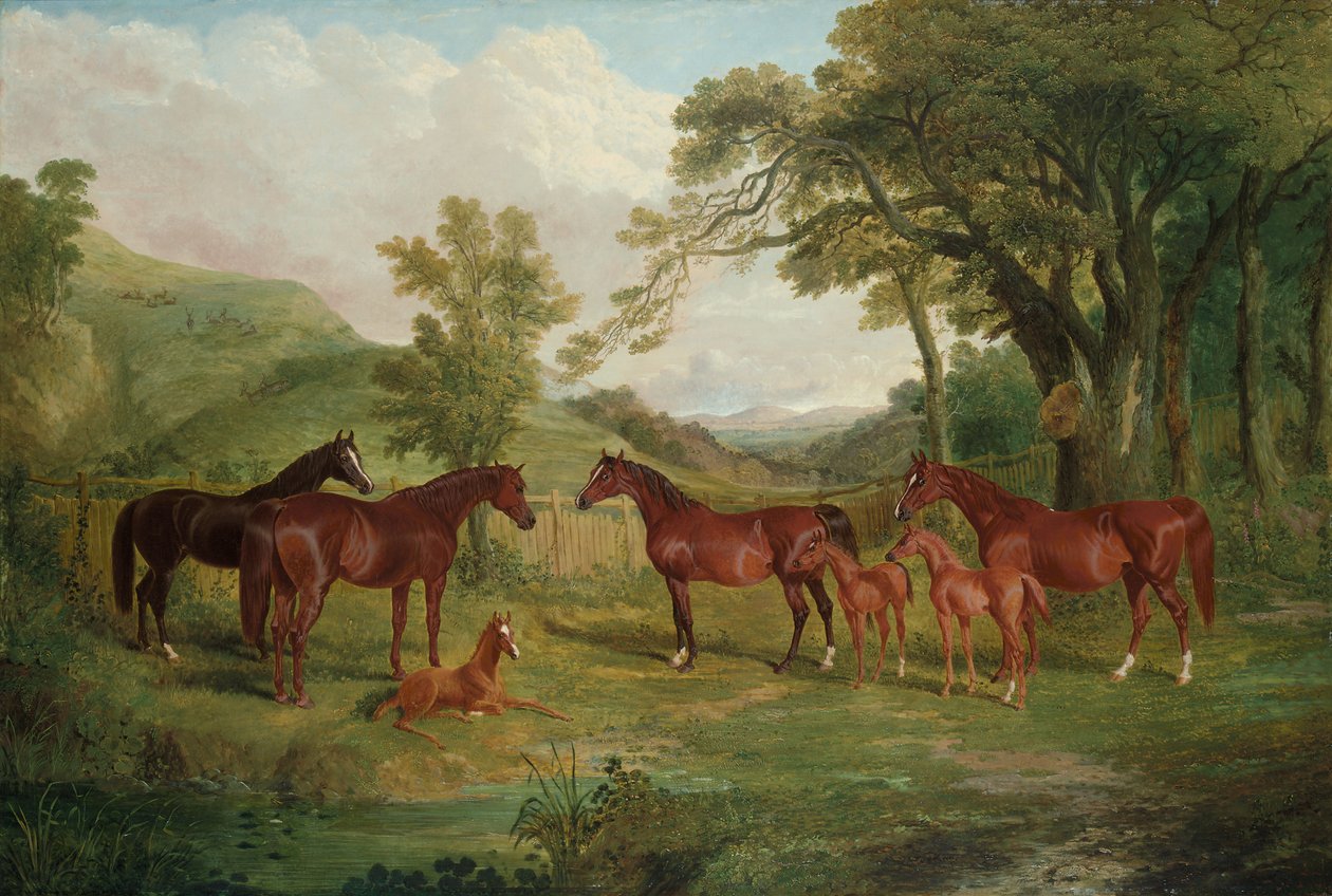 Streatlam-studen, hopper og føll, 1836 av John Frederick Herring Senior