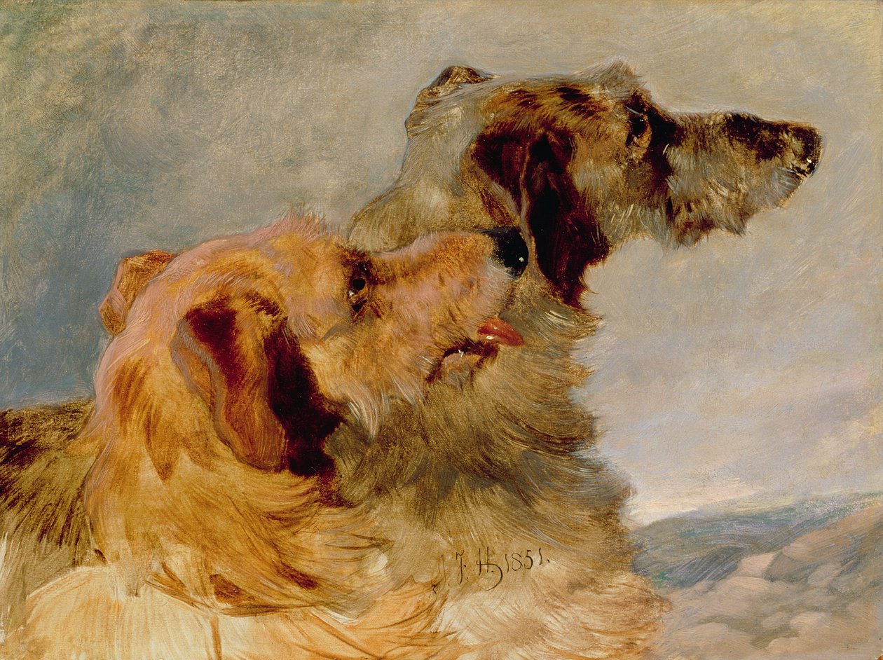 Two Deerhounds, 1851 (olje på papir) av John Frederick Herring Senior