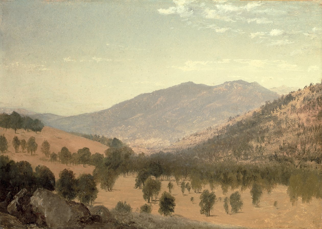 Bergen Park, Colorado (olje på lerret) av John Frederick Kensett